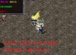 如何在冰雪打金传奇私服中快速提升角色战力? 如何在冰雪打金传奇私服中快速提升角色战力?