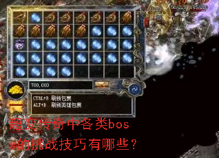超变传奇中各类boss的挑战技巧有哪些? 超变传奇中各类boss的挑战技巧有哪些?