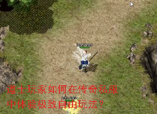 ��ʿ�������ڴ���˽�������鼫�������淨��