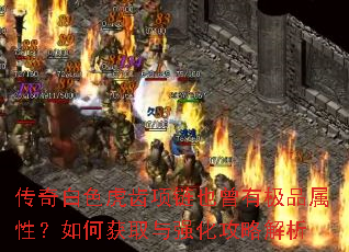 传奇白色虎齿项链也曾有极品属性?如何获取与强化攻略解析 传奇白色虎齿项链也曾有极品属性?如何获取与强化攻略解析