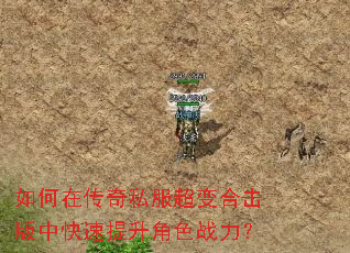 如何在传奇私服超变合击版中快速提升角色战力? 如何在传奇私服超变合击版中快速提升角色战力?