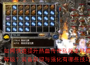 如何快速提升热血传奇私服单机版角色等级?装备获取与强化有哪些技巧? 如何快速提升热血传奇私服单机版角色等级?装备获取与强化有哪些技巧?