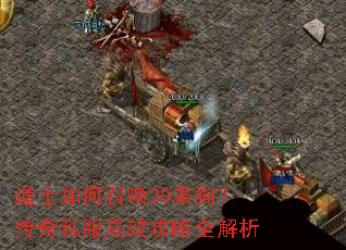 道士如何召唤30条狗?传奇私服高效攻略全解析 道士如何召唤30条狗?传奇私服高效攻略全解析