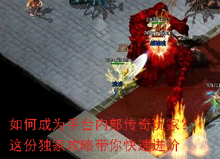 如何成为平台内部传奇玩家?这份独家攻略带你快速进阶 如何成为平台内部传奇玩家?这份独家攻略带你快速进阶