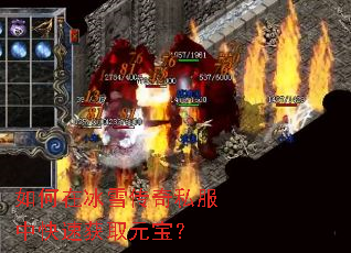 ����ڱ�ѩ����˽���п��ٻ�ȡԪ����