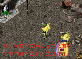��Ѫ���滳�ɰ�ѫ����ô��ã�������Щ���Լӳɺ����ã�