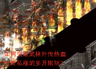 ���ͻ�������⴫��Ѫ����˽���Ķ࿪���ƣ�