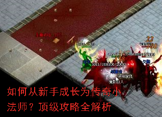如何从新手成长为传奇小法师?顶级攻略全解析 如何从新手成长为传奇小法师?顶级攻略全解析