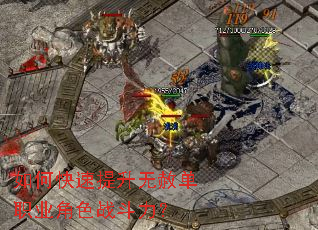 如何快速提升无赦单职业角色战斗力? 如何快速提升无赦单职业角色战斗力?
