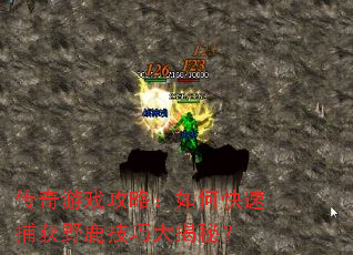传奇游戏攻略:如何快速捕获野鹿技巧大揭秘? 传奇游戏攻略:如何快速捕获野鹿技巧大揭秘?