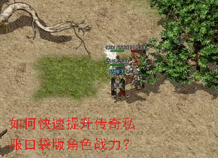 如何快速提升传奇私服口袋版角色战力? 如何快速提升传奇私服口袋版角色战力?