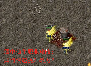 酒中仙单职业攻略:如何快速提升战力? 酒中仙单职业攻略:如何快速提升战力?