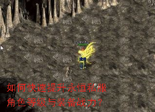如何快速提升永恒私服角色等级与装备战力? 如何快速提升永恒私服角色等级与装备战力?