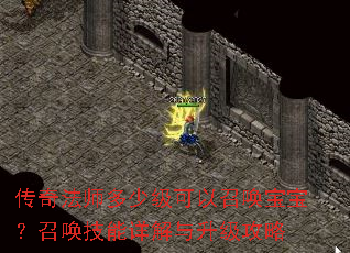传奇法师多少级可以召唤宝宝?召唤技能详解与升级攻略 传奇法师多少级可以召唤宝宝?召唤技能详解与升级攻略