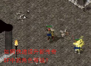 如何快速提升新传奇SF中的角色等级? 如何快速提升新传奇SF中的角色等级?