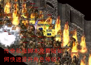 传奇私服脚本免费版如何快速提升角色等级? 传奇私服脚本免费版如何快速提升角色等级?
