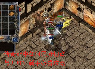 ����sf����������д��뿪�죿���ֱؿ�����