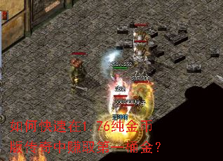 如何快速在1.76纯金币版传奇中赚取第一桶金? 如何快速在1.76纯金币版传奇中赚取第一桶金?