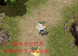 1.76�汾��ɳ�Ϳ�����������˺�ս����