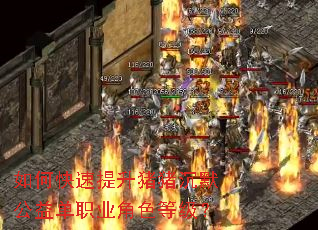 如何快速提升猪猪沉默公益单职业角色等级? 如何快速提升猪猪沉默公益单职业角色等级?