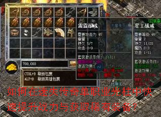 如何在迷失传奇单职业光柱中快速提升战力与获取稀有装备? 如何在迷失传奇单职业光柱中快速提升战力与获取稀有装备?