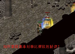 如何掌握惠丰划拳比赛致胜秘诀? 如何掌握惠丰划拳比赛致胜秘诀?