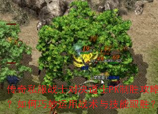 传奇私服战士对决道士PK制胜攻略?如何巧妙运用战术与技能取胜? 传奇私服战士对决道士PK制胜攻略?如何巧妙运用战术与技能取胜?