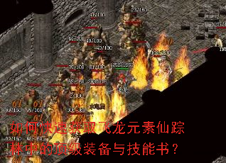 如何快速获取飞龙元素仙踪林中的顶级装备与技能书? 如何快速获取飞龙元素仙踪林中的顶级装备与技能书?