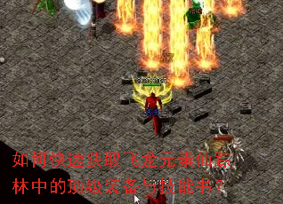 如何快速获取飞龙元素仙踪林中的顶级装备与技能书? 如何快速获取飞龙元素仙踪林中的顶级装备与技能书?
