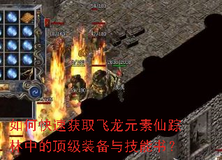 如何快速获取飞龙元素仙踪林中的顶级装备与技能书? 如何快速获取飞龙元素仙踪林中的顶级装备与技能书?