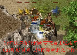 如何快速提升超级变态合击私服角色战力?装备搭配与技能组合有何秘诀?BOSS刷新时间与地图爆率怎么查询?组队PK时如何发挥合击最大威力? 如何快速提升超级变态合击私服角色战力?装备搭配与技能组合有何秘诀?BOSS刷新时间与地图爆率怎么查询?组队PK时如何发挥合击最大威力?