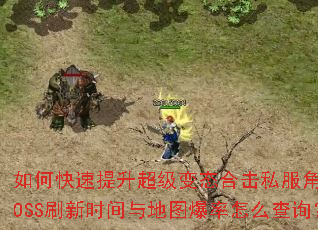 如何快速提升超级变态合击私服角色战力?装备搭配与技能组合有何秘诀?BOSS刷新时间与地图爆率怎么查询?组队PK时如何发挥合击最大威力? 如何快速提升超级变态合击私服角色战力?装备搭配与技能组合有何秘诀?BOSS刷新时间与地图爆率怎么查询?组队PK时如何发挥合击最大威力?