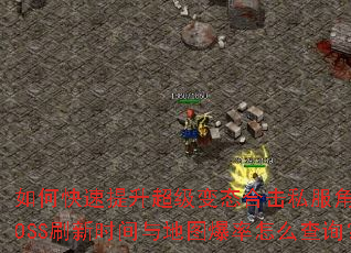 如何快速提升超级变态合击私服角色战力?装备搭配与技能组合有何秘诀?BOSS刷新时间与地图爆率怎么查询?组队PK时如何发挥合击最大威力? 如何快速提升超级变态合击私服角色战力?装备搭配与技能组合有何秘诀?BOSS刷新时间与地图爆率怎么查询?组队PK时如何发挥合击最大威力?