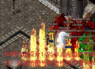 如何快速提升1.95神龙合击角色战力?装备搭配与合击技使用有何技巧? 如何快速提升1.95神龙合击角色战力?装备搭配与合击技使用有何技巧?