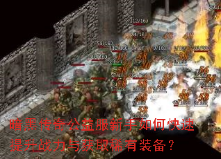 暗黑传奇公益服新手如何快速提升战力与获取稀有装备? 暗黑传奇公益服新手如何快速提升战力与获取稀有装备?