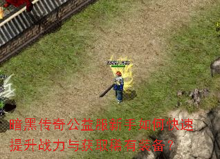 暗黑传奇公益服新手如何快速提升战力与获取稀有装备? 暗黑传奇公益服新手如何快速提升战力与获取稀有装备?
