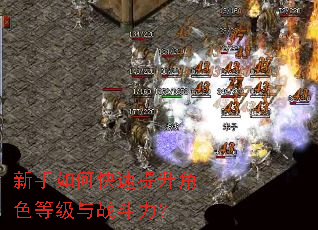 新手如何快速提升角色等级与战斗力? 新手如何快速提升角色等级与战斗力?