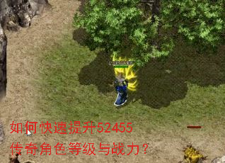 如何快速提升52455传奇角色等级与战力? 如何快速提升52455传奇角色等级与战力?