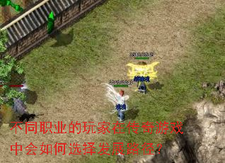 不同职业的玩家在传奇游戏中会如何选择发展路径? 不同职业的玩家在传奇游戏中会如何选择发展路径?