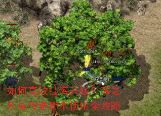 如何高效挂海升级?海之乐章传奇脚本使用全攻略 如何高效挂海升级?海之乐章传奇脚本使用全攻略