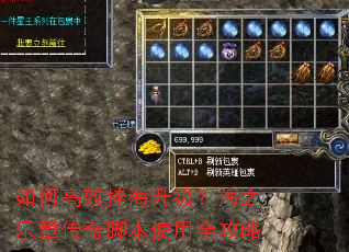 如何高效挂海升级?海之乐章传奇脚本使用全攻略 如何高效挂海升级?海之乐章传奇脚本使用全攻略