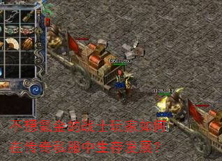 不想氪金的战士玩家如何在传奇私服中生存发展? 不想氪金的战士玩家如何在传奇私服中生存发展?