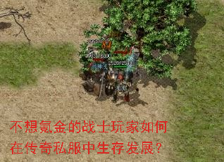 不想氪金的战士玩家如何在传奇私服中生存发展? 不想氪金的战士玩家如何在传奇私服中生存发展?