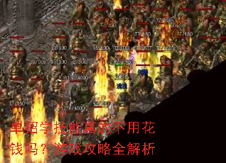 单招学技能真的不用花钱吗?游戏攻略全解析 单招学技能真的不用花钱吗?游戏攻略全解析
