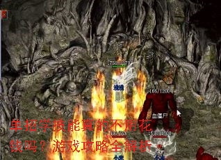 单招学技能真的不用花钱吗?游戏攻略全解析 单招学技能真的不用花钱吗?游戏攻略全解析
