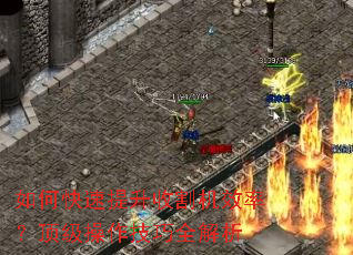 如何快速提升收割机效率?顶级操作技巧全解析 如何快速提升收割机效率?顶级操作技巧全解析