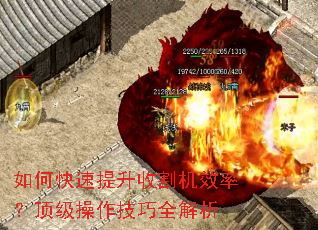 如何快速提升收割机效率?顶级操作技巧全解析 如何快速提升收割机效率?顶级操作技巧全解析