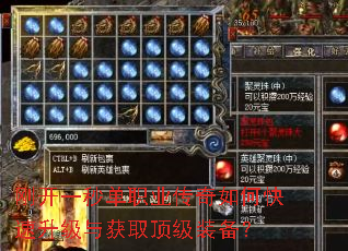 刚开一秒单职业传奇如何快速升级与获取顶级装备? 刚开一秒单职业传奇如何快速升级与获取顶级装备?