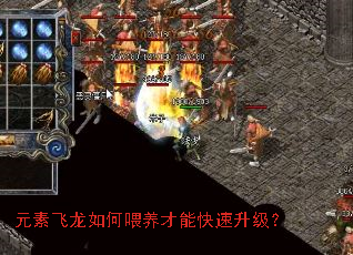 元素飞龙如何喂养才能快速升级? 元素飞龙如何喂养才能快速升级?