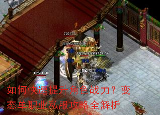 如何快速提升角色战力?变态单职业私服攻略全解析 如何快速提升角色战力?变态单职业私服攻略全解析